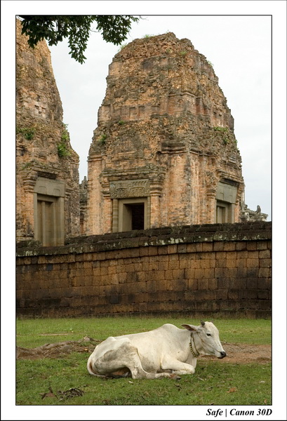 2006 - 07 - Temple angkor - Pre Rup 26